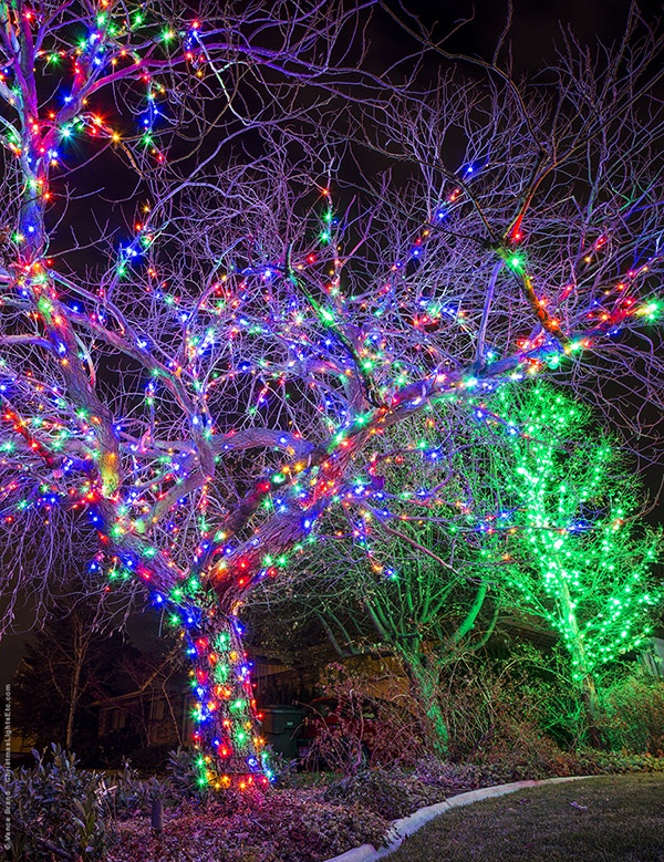 Group of trees with RGB lights decoration