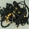 Commercial grade, waterproof W/WW solar fairy lights